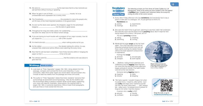 Vocab workshop level e unit 3