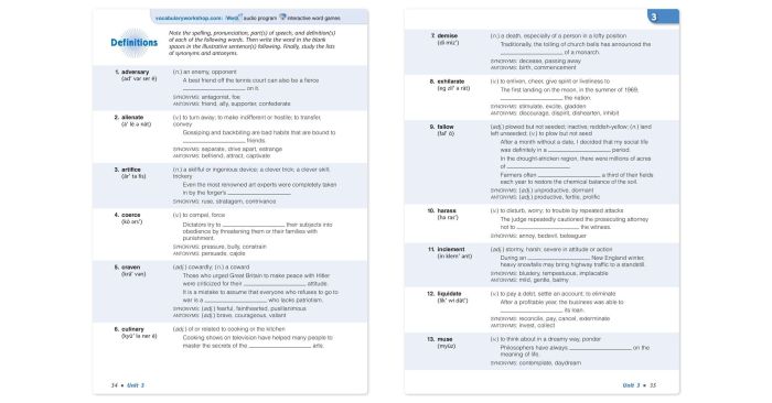 Vocab workshop level e unit 3