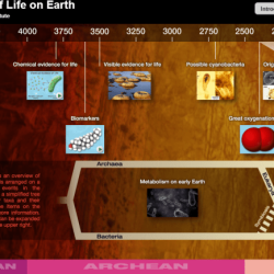 Hhmi deep history of life on earth