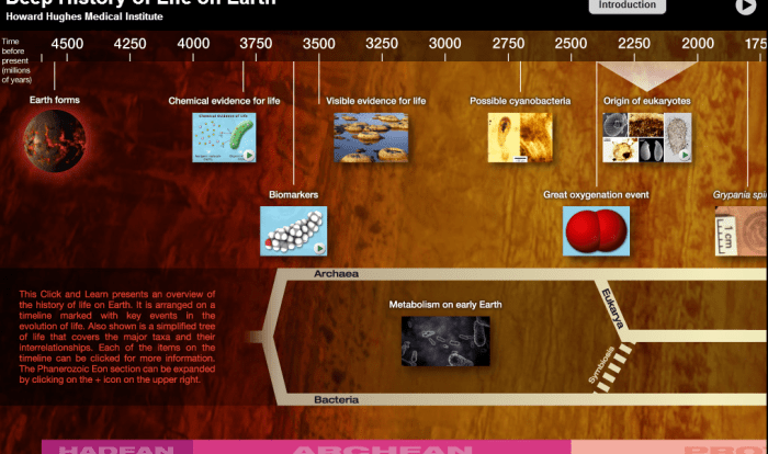 Hhmi deep history of life on earth