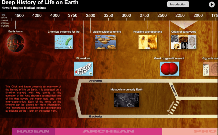 Hhmi deep history of life on earth