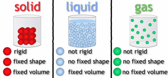 Brain pop states of matter