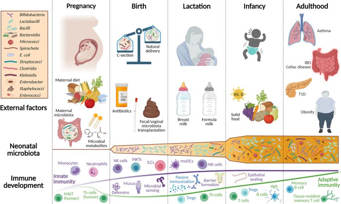 Premature infant hesi case study