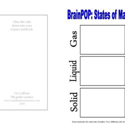 Brain pop states of matter