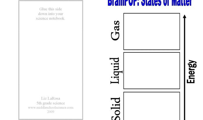 Brain pop states of matter