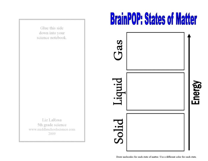 Brain pop states of matter