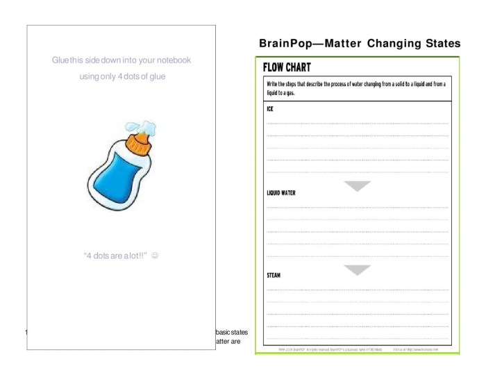 Brain pop states of matter