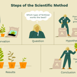 Lab 1 the scientific method answers