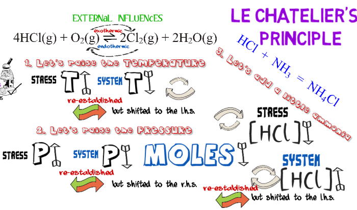 Equilibrium and le chatelier's principle worksheet answers